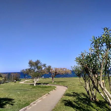 A 100m De La Et De La Piscine Lägenhet Cervione