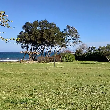A 100m De La Et De La Piscine Cervione