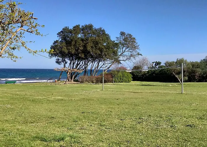 A 100m De La Et De La Piscine Cervione